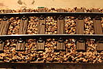 HpK0663.JPG