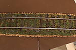 HpK0821.JPG