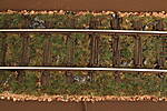 HpK0822.JPG