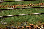 HpK0827.JPG