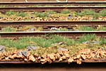 HpK0831.JPG