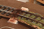 HpK0897.JPG