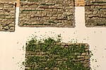 HpK1147.JPG