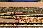 HpK1156.JPG