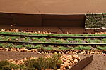 HpK1158.JPG