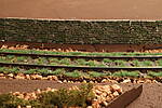 HpK1159.JPG