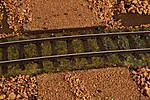 HpK1282.JPG