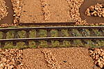 HpK1291.JPG