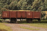 HpK1835.JPG