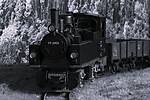 HpK1874_sw.JPG