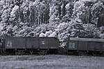 HpK1876_sw.JPG
