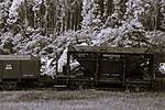 HpK1881_sw.JPG