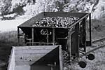 HpK1909_sw.JPG