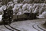 HpK1913.JPG