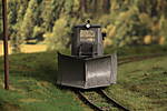 SHESP522.JPG