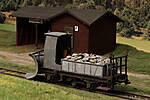 SHESP529.JPG
