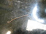 DSCN5238.JPG DSCN5238.JPG