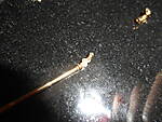 DSCN4604.JPG