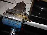 DSCN0575.JPG