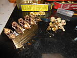 DSCN0578.JPG