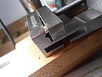 DSCN3555.JPG