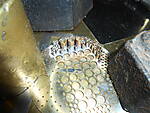 DSCN4893.JPG