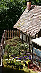 DSC00969.JPG