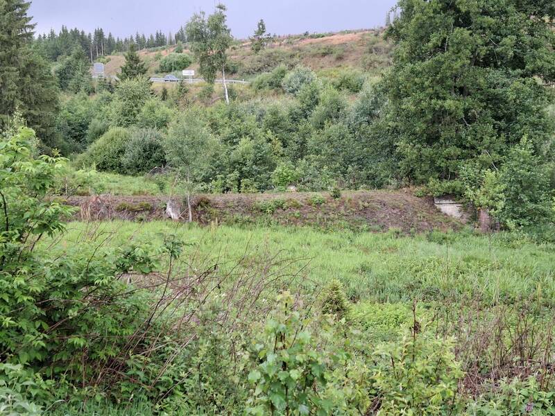 Damm_Am_Brunnenbach_bei_Sorge