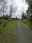 Brunnenbachsm_hle_richtung_Kaiserweg.jpg