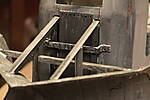 SHESP451.JPG