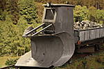 SHESP463.JPG
