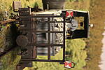 SHESP474.JPG