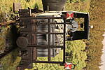 SHESP475.JPG