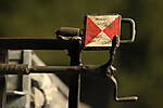 SHESP487.JPG