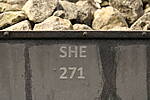 SHESP489.JPG