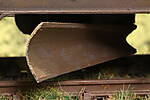 SHESP491.JPG