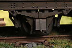 SHESP494.JPG