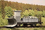 SHESP499.JPG